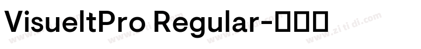 VisueltPro Regular字体转换